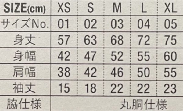 画像2: Short Sleeve Shirts (Straight) IVOxBRG (2)